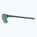 Sunglasses Alpina Eagle Q-Lite midnight/grey matt/green 5