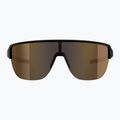 Sunglasses Alpina Ram 2.0 Q-Lite black matt/gold mirror 2