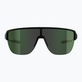 Sunglasses Alpina Ram 2.0 Q-Lite black/white matt/green mirror 2