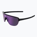Sunglasses Alpina Ram 2.0 Q-Lite black gloss/purple mirror