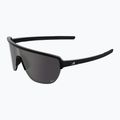 Sunglasses Alpina Ram 2.0 Q-Lite black matt / silver mirror
