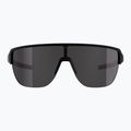 Sunglasses Alpina Ram 2.0 Q-Lite black matt / silver mirror 2