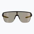 Sunglasses Alpina Ram 2.0 Q-Lite black matt/yellow 2