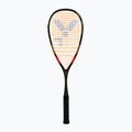 Squash racket VICTOR IP RK 6
