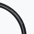 Continental Contact Plus Travel 28x1.75 wire black CO0101350 tyre 4