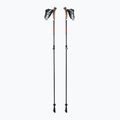 LEKI Instructor Lite nordic walking poles black and silver 65326341