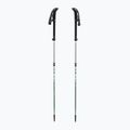 Trekking poles LEKI Makalu FX TA silver/greygreen/white