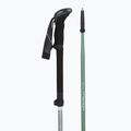 Trekking poles LEKI Makalu FX TA silver/greygreen/white 3