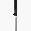 Trekking poles LEKI Makalu FX TA silver/greygreen/white 4