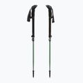 Trekking poles LEKI Makalu FX TA silver/greygreen/white 5