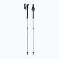 Trekking poles LEKI Makalu FX TA silver/greygreen/white