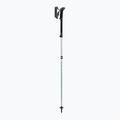 Trekking poles LEKI Makalu FX TA silver/greygreen/white 2