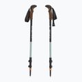 Trekking poles LEKI Khumbu AS black/dark sea green 5
