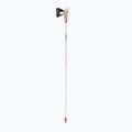 LEKI Passion silver Nordic walking poles 64925100