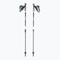 LEKI Instructor Lite Nordic walking poles black 65026341