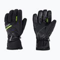 LEKI Spox GTX ski glove black-green 650808303080