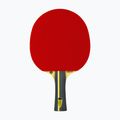 Tibhar Rookie Drinkhall table tennis racket