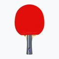 Tibhar Rookie Blue Edition table tennis racket