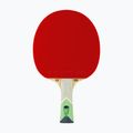 Tibhar XXX Green Edition table tennis racket