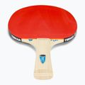 Tibhar Hobby Table Tennis Set 2 3