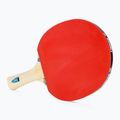 Tibhar Hobby Table Tennis Set 2 4