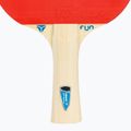 Tibhar Hobby Table Tennis Set 2 5