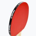 Tibhar Hobby Table Tennis Set 2 7