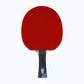 Tibhar Master Felix Lebrun table tennis racket