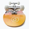 Playlife Mighty Bear classic skateboard 880309 5