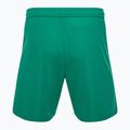 Capelli Sport Cs One Adult Match green/white children's football shorts 2