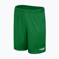 Capelli Sport Cs One Adult Match green/white children's football shorts 4