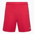 Capelli Sport Cs One Adult Match red/white children's football shorts