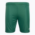 Capelli Sport Cs One Youth Match green/white children's football shorts