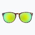 UVEX sunglasses Lgl 43 havanna black/mirror green 2