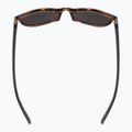 UVEX sunglasses Lgl 43 havanna black/mirror green 4