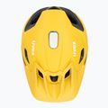 UVEX Quatro Integrale sunbee/black bicycle helmet 6