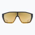 UVEX Mtn Style CV havanna matt fade/mirror champagne sunglasses 2
