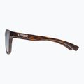 UVEX Esntl Spirit havanna matt/mirror silver sunglasses 4