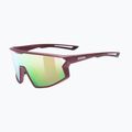 Sunglasses Uvex Skyryse burgundy matt/mirror rose