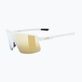 Sunglasses Uvex Dyrt white matt/mirror gold