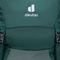 Women's hiking backpack deuter Futura SL 30 l green 340072122830 5