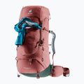 Women's trekking backpack deuter Aircontact Lite 45 + 10 SL 55 l 334022352150 caspia/ivy 8