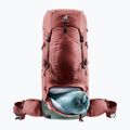 Women's trekking backpack deuter Aircontact Lite 45 + 10 SL 55 l 334022352150 caspia/ivy 9