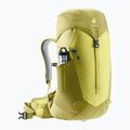 Women's hiking backpack deuter AC Lite 22 l SL sprout/linden 5