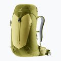 Deuter AC Lite 24 l hiking backpack linden/cactus 4