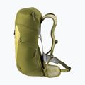 Deuter AC Lite 24 l hiking backpack linden/cactus 5