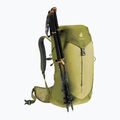 Deuter AC Lite 24 l hiking backpack linden/cactus 9