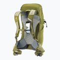 Deuter AC Lite 24 l hiking backpack linden/cactus 13