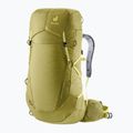 Women's trekking backpack deuter Aircontact Ultra 45 + 5 l SL linden/sprout 2