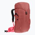 Deuter Climber 22 l redwood/hibiscus children's hiking backpack 2